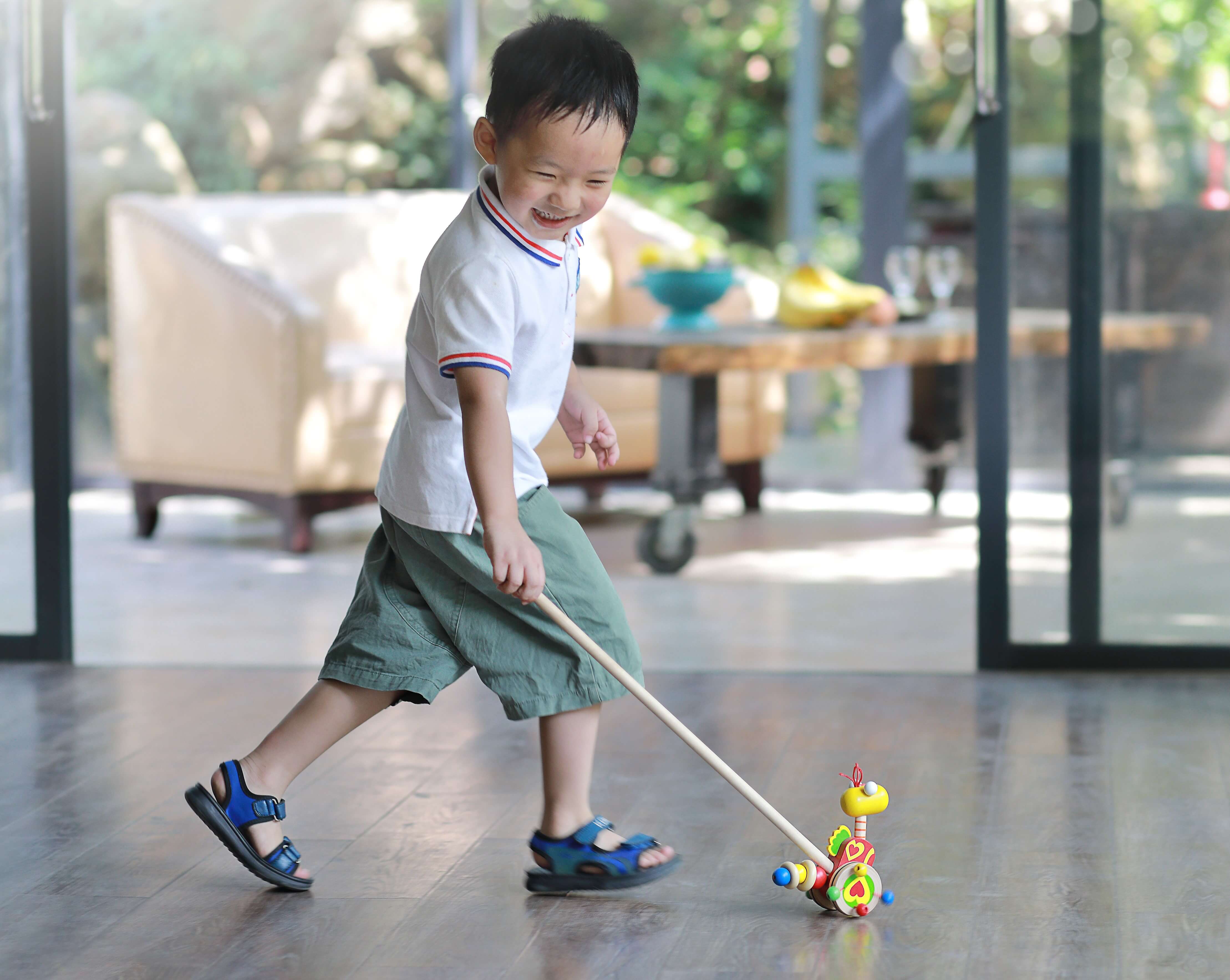 Push Toys With Stick